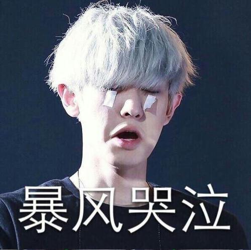 朴灿烈表白表情包,表白表情包背后的甜蜜故事